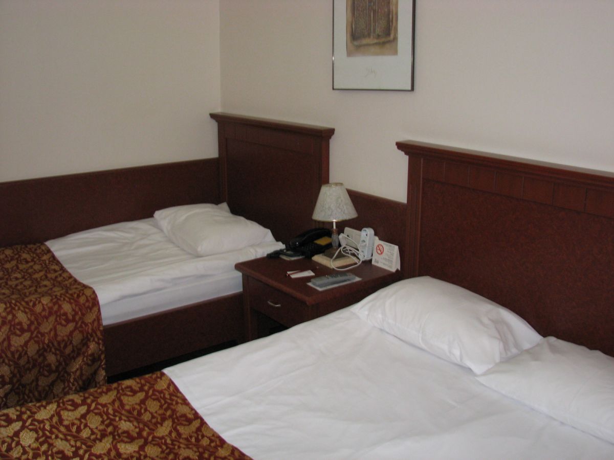 imagini hotel DELPHIN BOTANIK